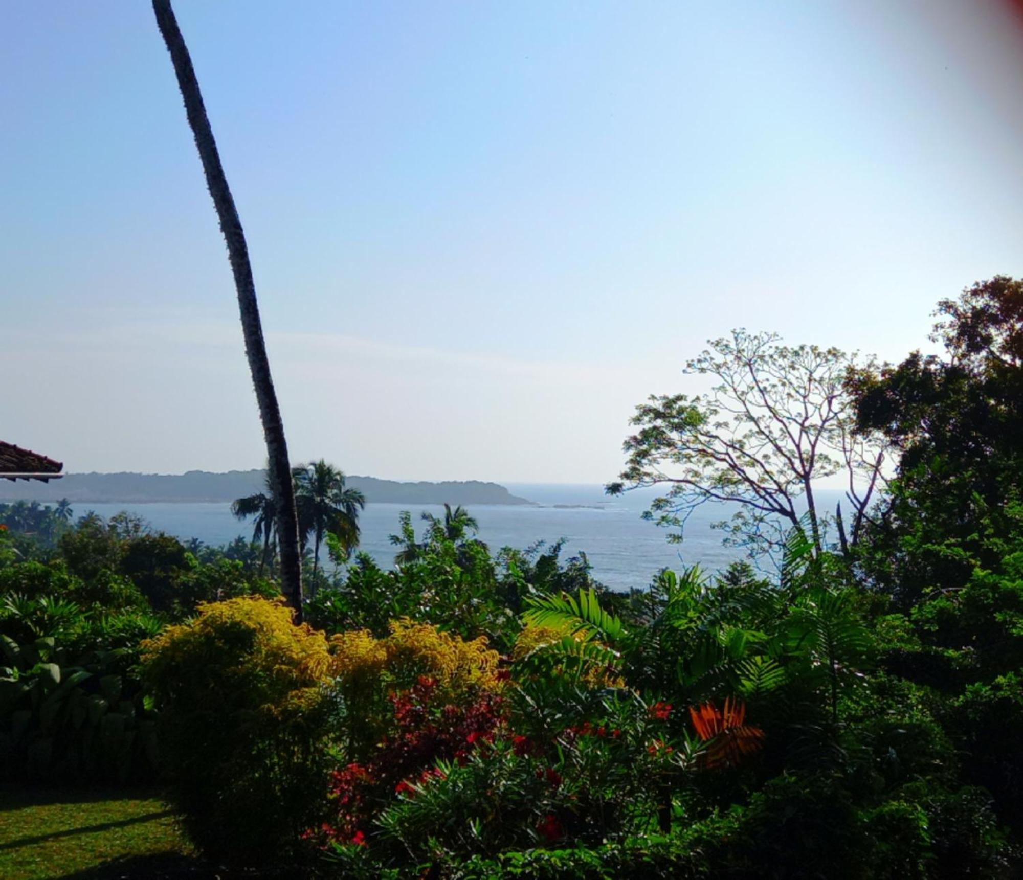فيلا Blue Ocean Tree House Hiriketiya ديكويلاّ تين المظهر الخارجي الصورة