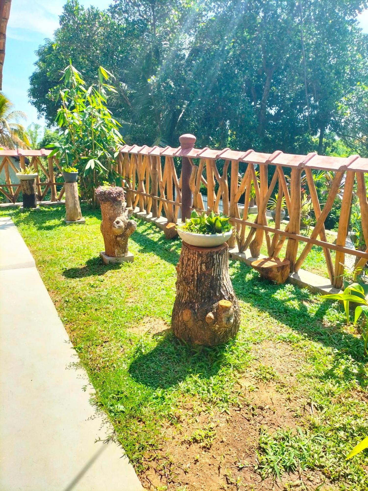 فيلا Blue Ocean Tree House Hiriketiya ديكويلاّ تين المظهر الخارجي الصورة