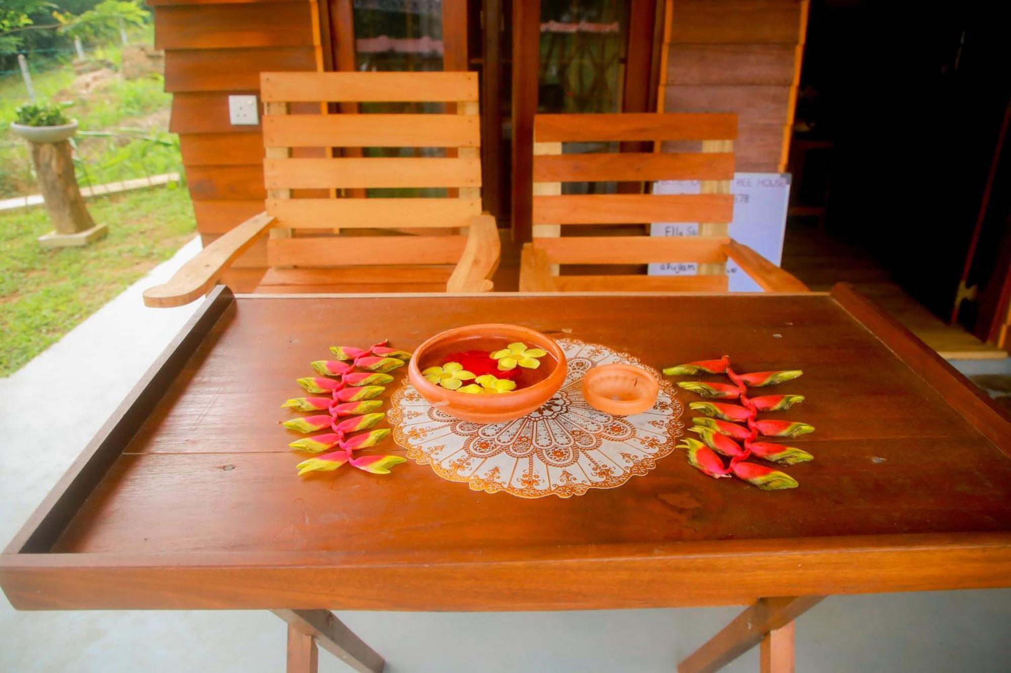 فيلا Blue Ocean Tree House Hiriketiya ديكويلاّ تين المظهر الخارجي الصورة