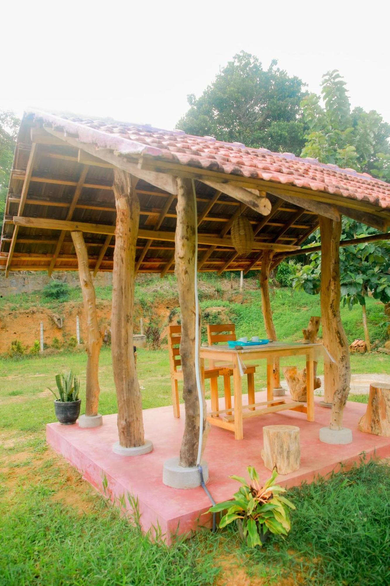 فيلا Blue Ocean Tree House Hiriketiya ديكويلاّ تين المظهر الخارجي الصورة